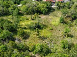  Land for sale in Big Budhha Beach, Bo Phut, Bo Phut