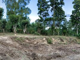  Land for sale in Nam Phrae, Hang Dong, Nam Phrae