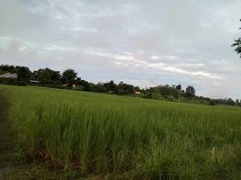  Land for sale in Ko Kha, Lampang, Ko Kha