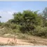  Land for sale in Xaysetha, Attapeu, Xaysetha