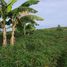  Grundstück zu verkaufen in Isabela, Cagayan Valley, Ilagan City, Isabela