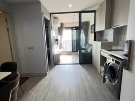 1 Bedroom Condo for rent at Life Ladprao, Chomphon, Chatuchak, Bangkok