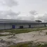  Warehouse for sale in Pemalang, Jawa Tengah, Pemalang, Pemalang, Jawa Tengah