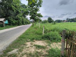  Land for sale in Doi Saket, Chiang Mai, Samran Rat, Doi Saket