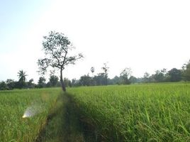  Land for sale in Ubon Ratchathani, Yang Sak Krapho Lum, Muang Sam Sip, Ubon Ratchathani