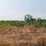  Land for sale in Chai Nat, Suk Duean Ha, Noen Kham, Chai Nat