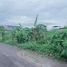  Land for sale in Khlong Luang, Pathum Thani, Khlong Song, Khlong Luang