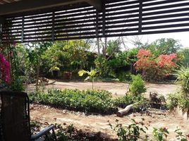  Land for sale in Nong Tum, Phu Khiao, Nong Tum