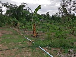  Grundstück zu verkaufen in Nong Ya Plong, Phetchaburi, Tha Takhro, Nong Ya Plong