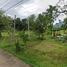  Land for sale in Na Hin Lat, Pak Phli, Na Hin Lat