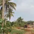 Grundstück zu verkaufen in Long Khanh, Dong Nai, Xuan Lap, Long Khanh, Dong Nai