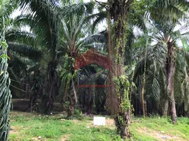  Land for sale in Krabi, Ao Nang, Mueang Krabi, Krabi