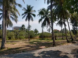  Grundstück zu verkaufen in Mueang Prachuap Khiri Khan, Prachuap Khiri Khan, Bo Nok, Mueang Prachuap Khiri Khan, Prachuap Khiri Khan, Thailand