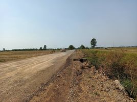  Land for sale in Phai Yai, Ban Mi, Phai Yai