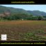  Land for sale in Mueang, Mueang Chon Buri, Mueang