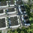 ปาล์ม เรสซิเดนท์