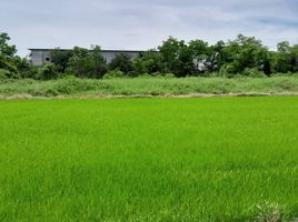  Земельный участок for sale in Mueang Phitsanulok, Phitsanulok, Phlai Chumphon, Mueang Phitsanulok