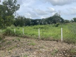  Land for sale in Nong Chok, Bangkok, Lam Phak Chi, Nong Chok