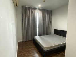 1 спален Кондо в аренду в The Bloom Sukhumvit 71, Phra Khanong Nuea, Щаттхана, Бангкок