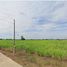  Земельный участок for sale in Thep Nakhon, Mueang Kamphaeng Phet, Thep Nakhon