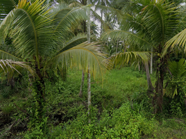  Land for sale in Mueang Surat Thani, Surat Thani, Bang Bai Mai, Mueang Surat Thani