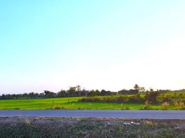  Grundstück zu verkaufen in Mueang Kalasin, Kalasin, Lamphan