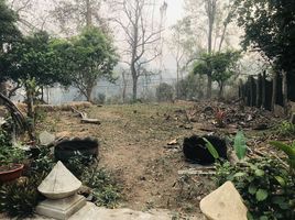  Grundstück zu verkaufen in Mueang Mae Hong Son, Mae Hong Son, Pha Bong