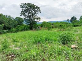  Grundstück zu verkaufen in Pak Chong, Nakhon Ratchasima, Mu Si