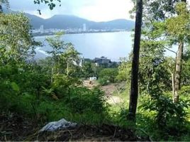  Land for sale in Phuket, Kathu, Phuket