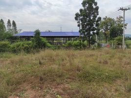 Grundstück zu verkaufen in Pak Tho, Ratchaburi, Huai Yang Thon, Pak Tho, Ratchaburi
