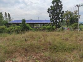  Land for sale in Huai Yang Thon, Pak Tho, Huai Yang Thon