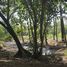  Land for sale in Sakhu, Phuket, Sakhu, Thalang