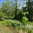  Land for sale in Chumphon, Thung Luang, Lamae, Chumphon