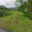  Land for sale in Phanom, Surat Thani, Khlong Sok, Phanom