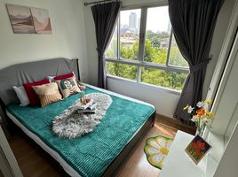 Studio Wohnung zu vermieten im Lumpini Ville Sukhumvit 77-2, Suan Luang