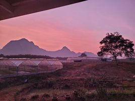  Grundstück zu verkaufen in Wang Saphung, Loei, Khao Luang