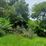  Land for sale in Kathu, Phuket, Kamala, Kathu