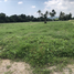  Land for sale in Phetchaburi, Cha-Am, Phetchaburi