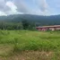  Land for sale in Phuket, Pa Khlok, Thalang, Phuket