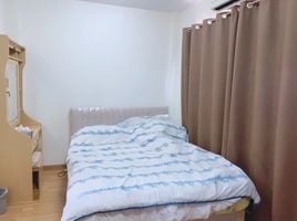 3 Schlafzimmer Reihenhaus zu verkaufen im My Place Onnuch 17, Suan Luang, Suan Luang