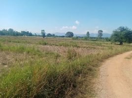  Land for sale in Huai Sak, Mueang Chiang Rai, Huai Sak