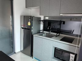 1 Bedroom Condo for rent at Ideo Sukhumvit 93, Bang Chak, Phra Khanong