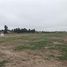  Land for rent in AsiaVillas, Comandante Fernandez, Chaco, Argentina