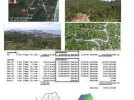  Land for sale in Samui International Airport, Bo Phut, Bo Phut