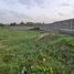  Land for sale in Dangbe West, Greater Accra, Dangbe West, Greater Accra