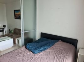 1 Schlafzimmer Appartement zu vermieten im D Condo Sign, Fa Ham, Mueang Chiang Mai