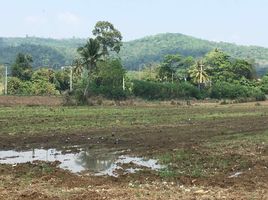  Grundstück zu verkaufen in Pak Chong, Nakhon Ratchasima, Mu Si