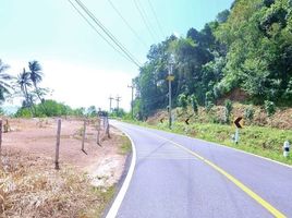  Grundstück zu verkaufen in Thalang, Phuket, Pa Khlok, Thalang