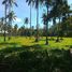  Grundstück zu verkaufen in Thalang, Phuket, Pa Khlok, Thalang, Phuket