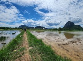  Grundstück zu verkaufen in Cha-Am, Phetchaburi, Na Yang